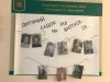 День Педагогічного інституту