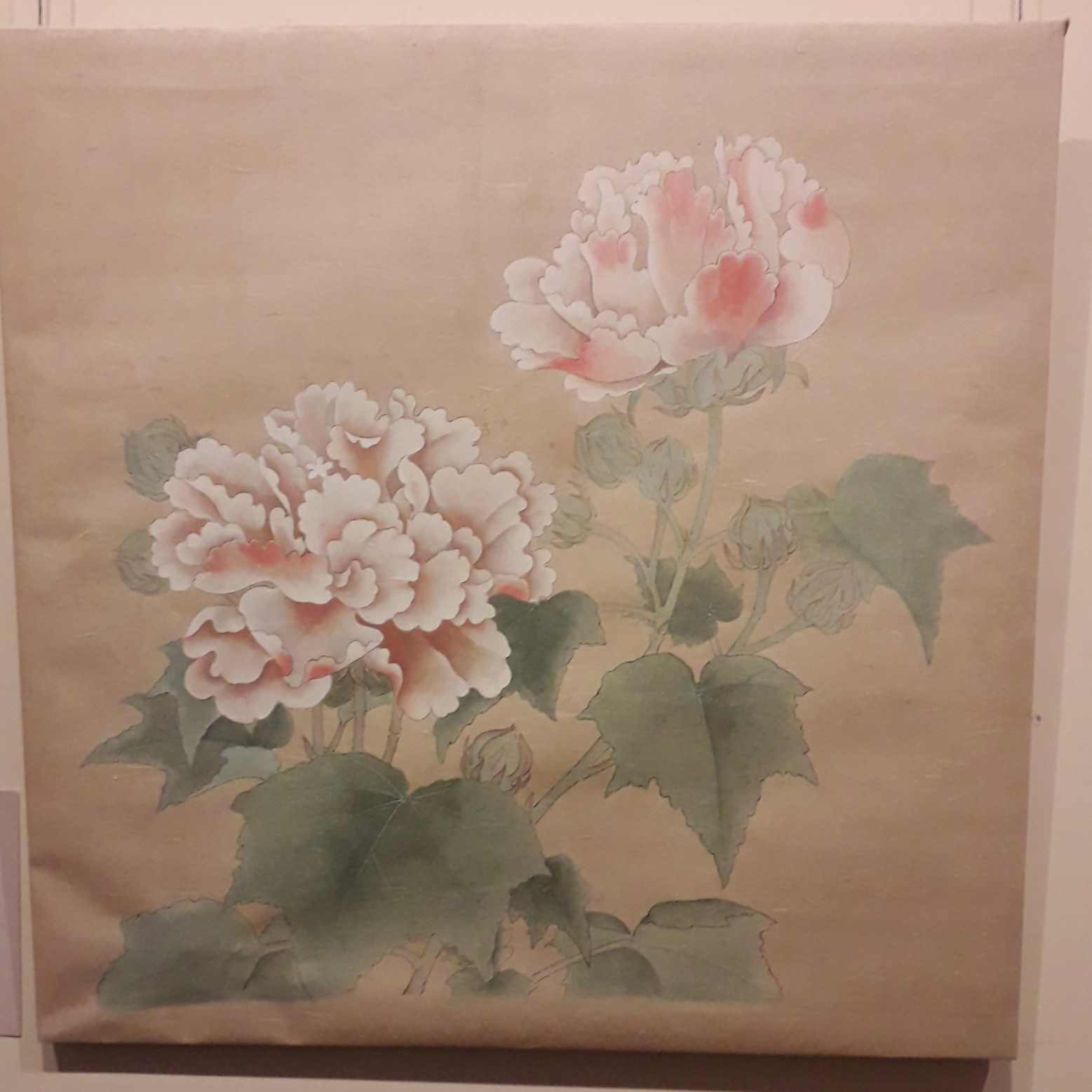 09 14 2017 zanatya 2